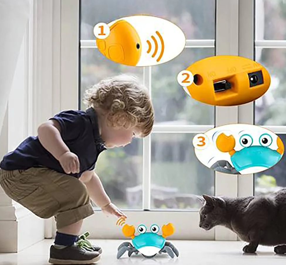 Sensory Toy Crab